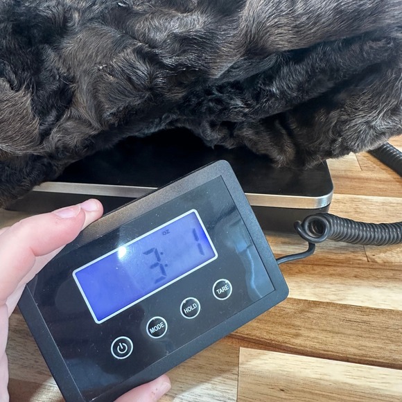 Bisang Couture Fur Mink Coat Small Black Gray Lined Outerwear Button Stripe - Picture 10 of 10